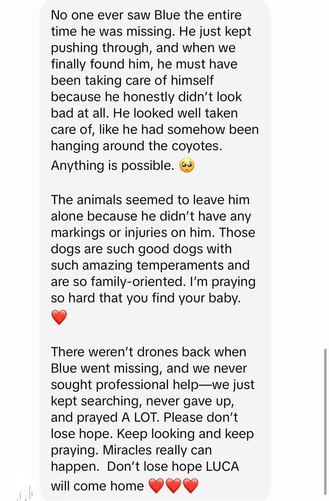 Text messages explaining that Blue was never seen while missing, stayed healthy, and that hope should never be lost