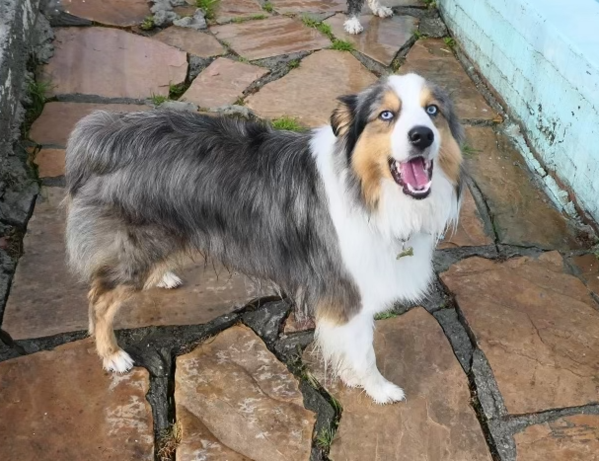 Luca standing on a stone patio, smiling with bright blue eyes