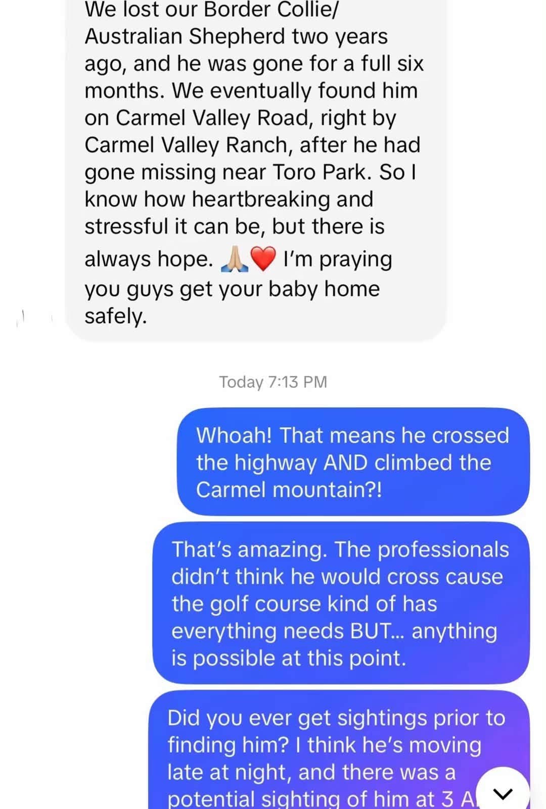 Text message from someone whose Aussie went missing near Toro Park and was found six months later on Carmel Valley Road